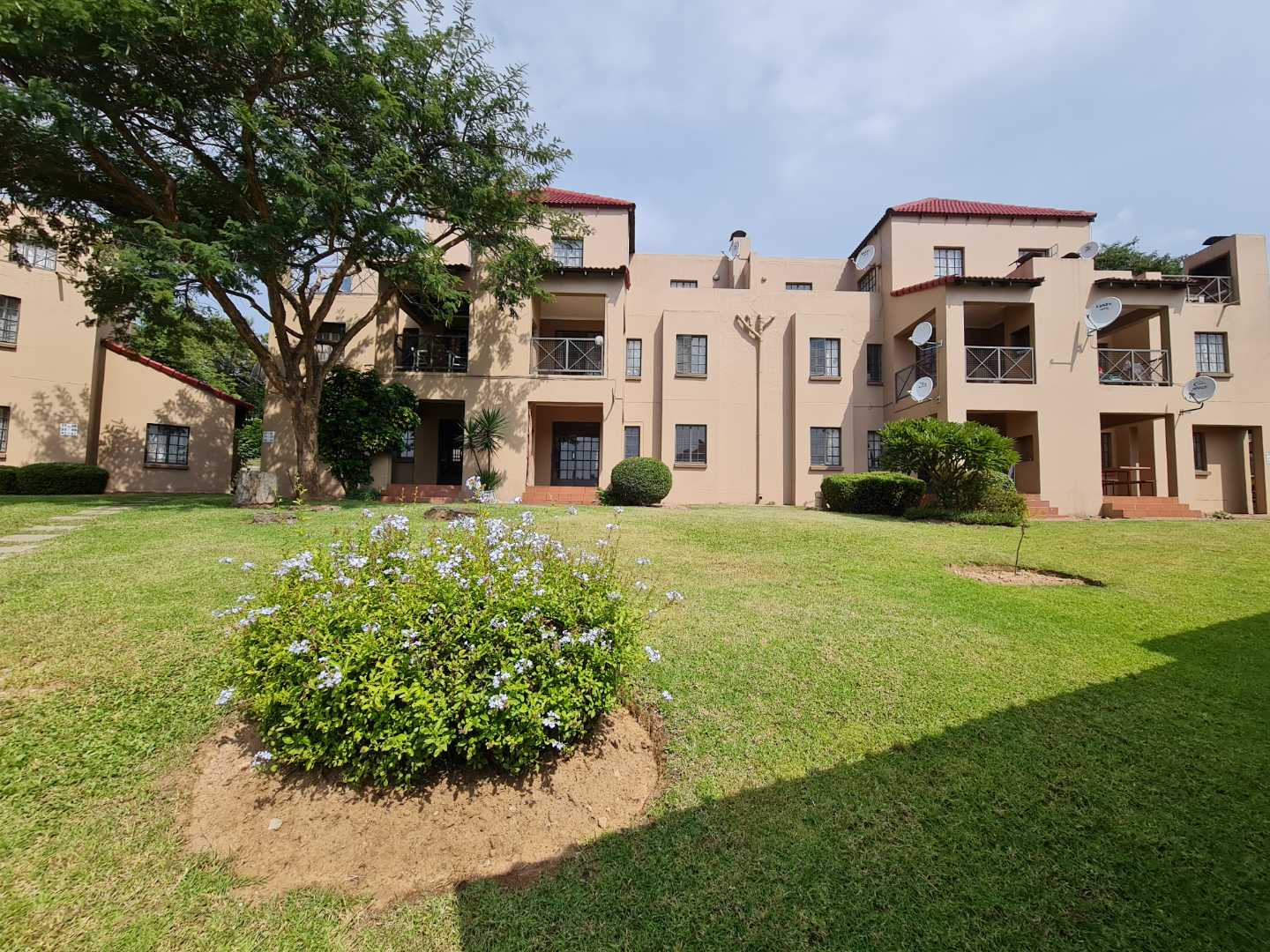 Sharonlea Property Property and houses to rent in Sharonlea