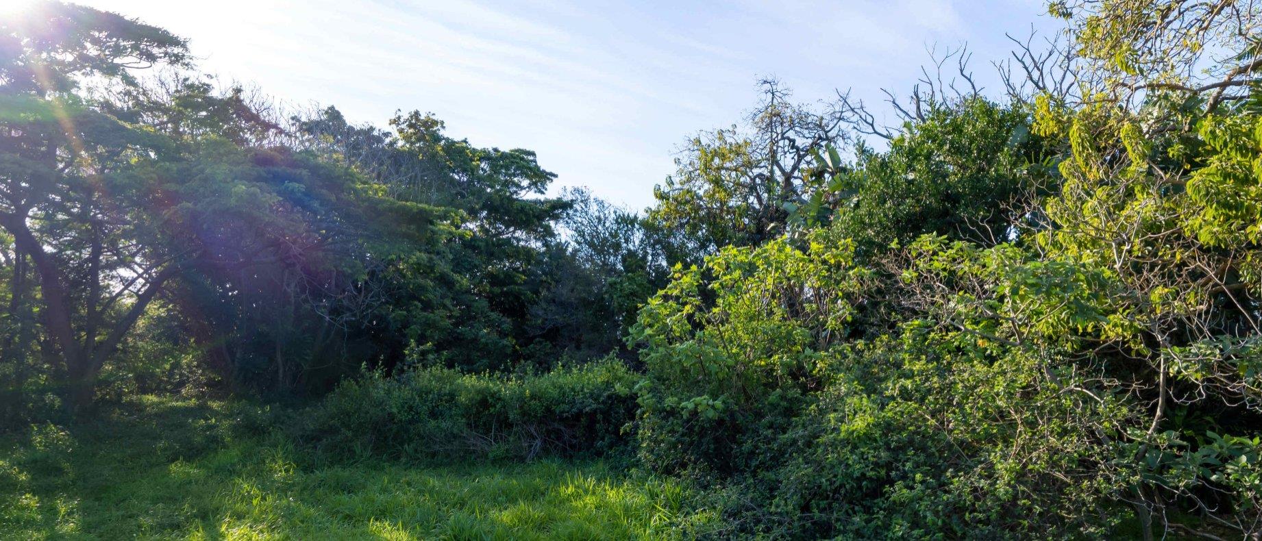 Vacant land / plot for sale in Shelly Beach 1571 Bahari Bay P24