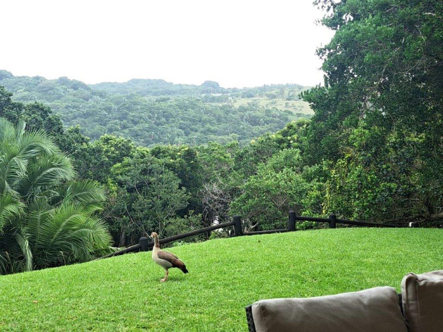 3 Bedroom Apartment / flat for sale in Port Edward P24114222133