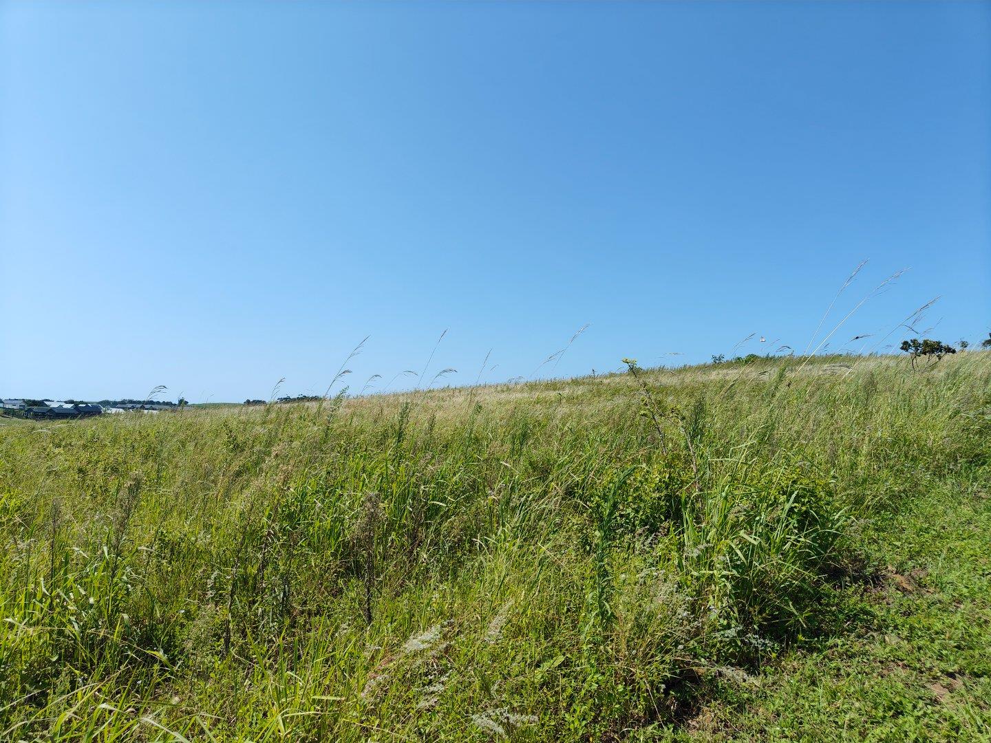 Vacant land / plot for sale in Springvale Country Estate 16 Coucal