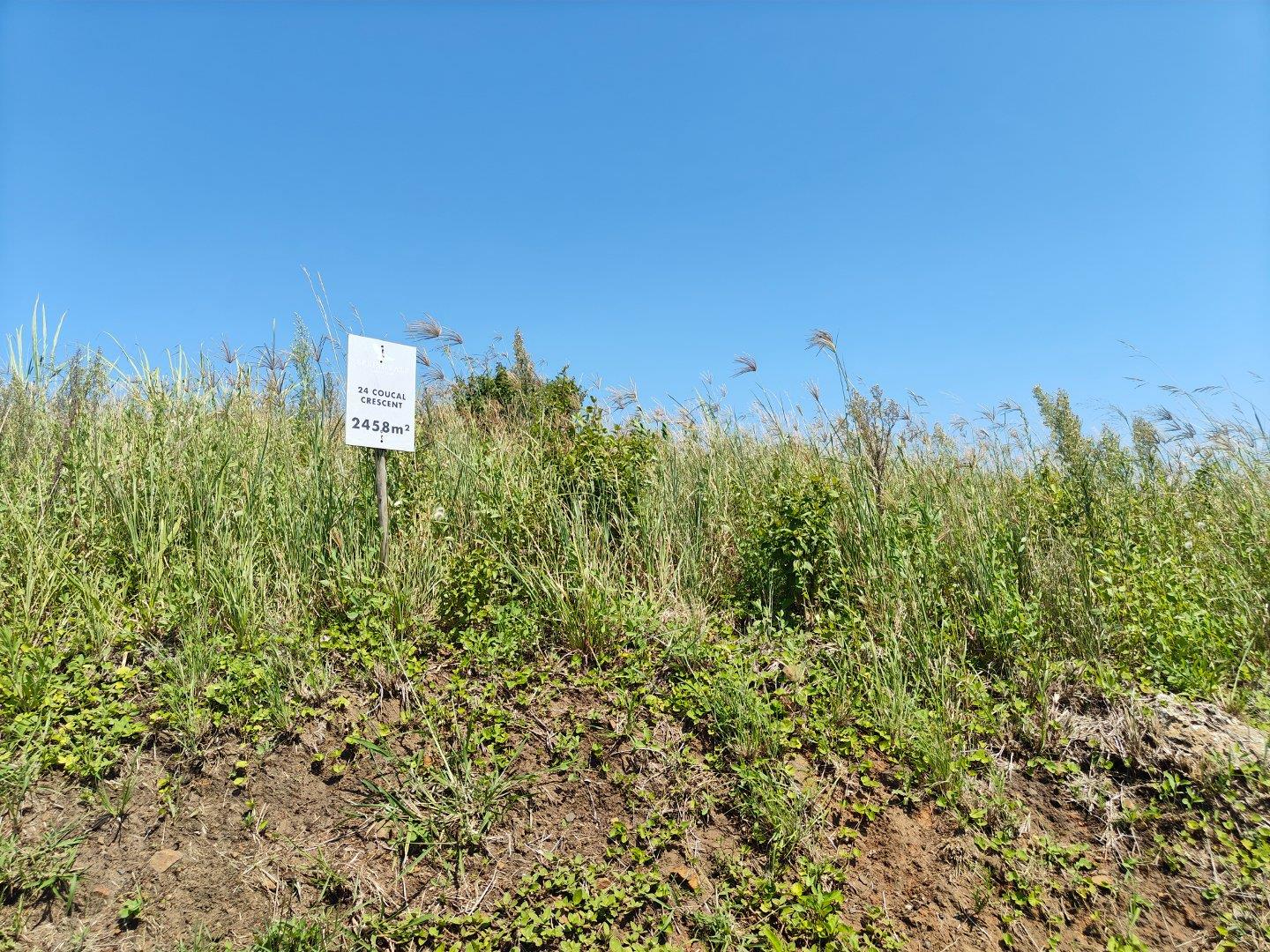 Vacant land / plot for sale in Springvale Country Estate 24 Coucal