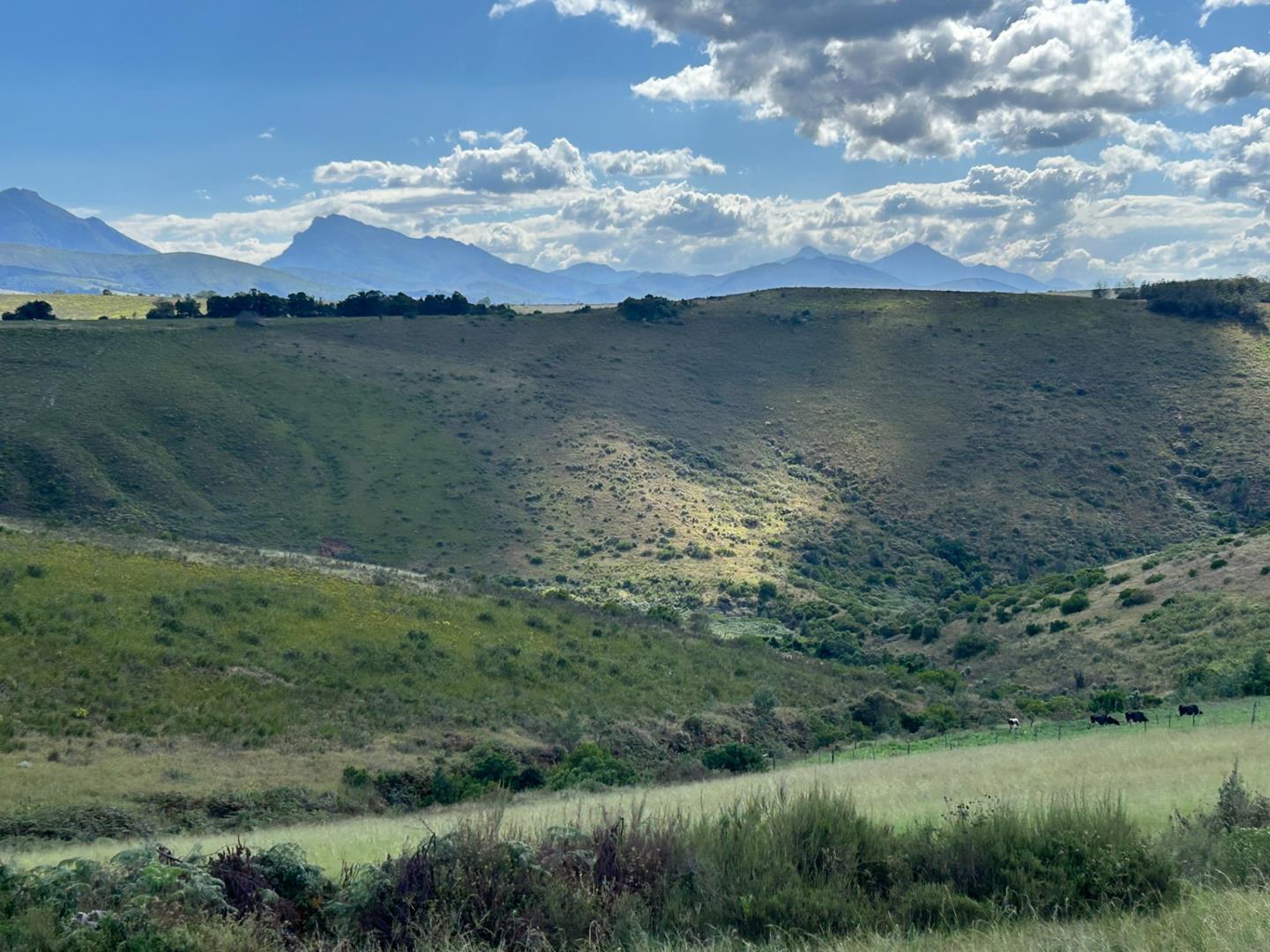 Herbertsdale Property Farms for sale in Herbertsdale