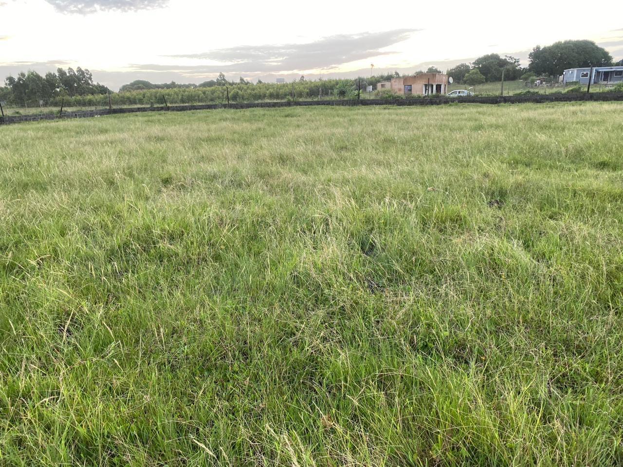 Vacant land / plot for sale in Esikhawini P24114248459