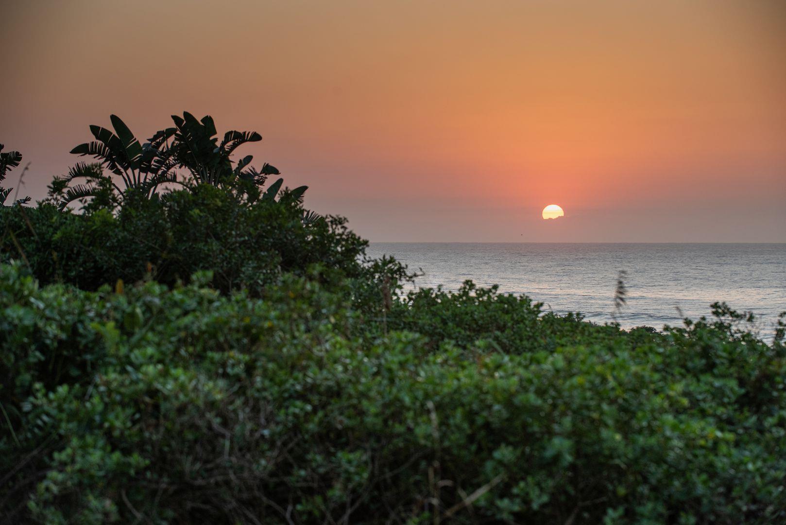 Seaton Estate Property Vacant land / plots for sale in Seaton Estate