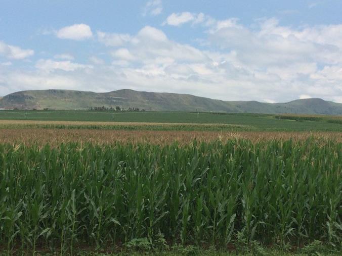 Farm for Sale in Winterton Rural