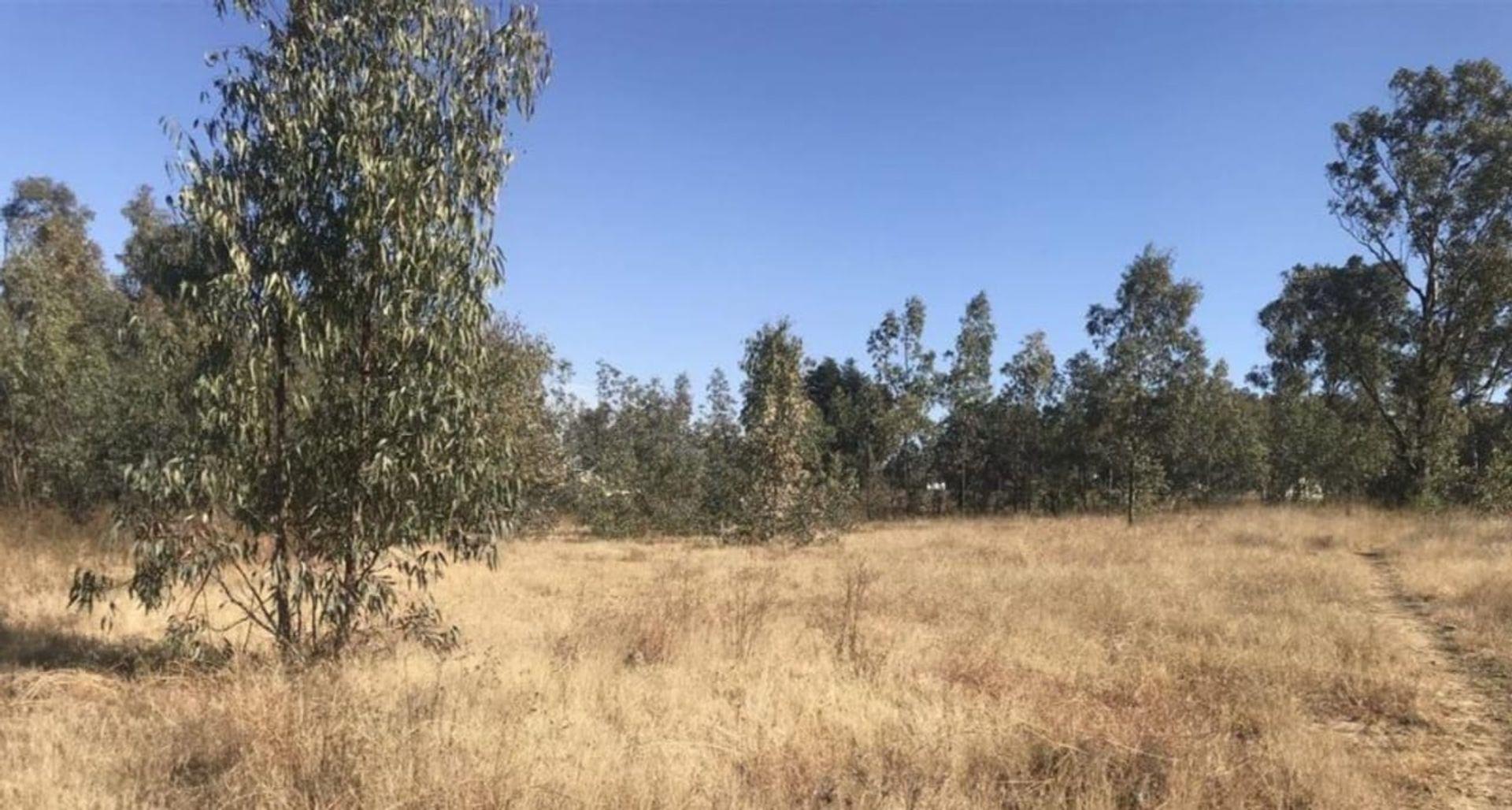 Farm for sale in Orange Farm P24114292204