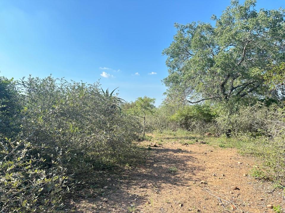 Vacant land / plot for sale in Marloth Park P24114304069
