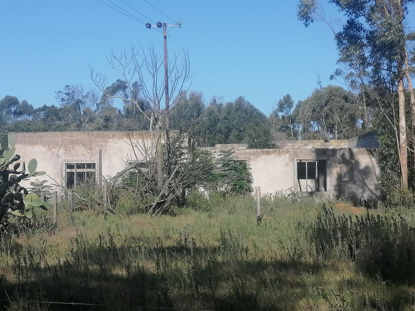 Vacant land / plot for sale in Greenbushes 41 Tarentaal Street P24
