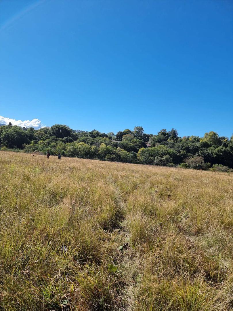 Vacant land / plots for sale in Howick Howick Property