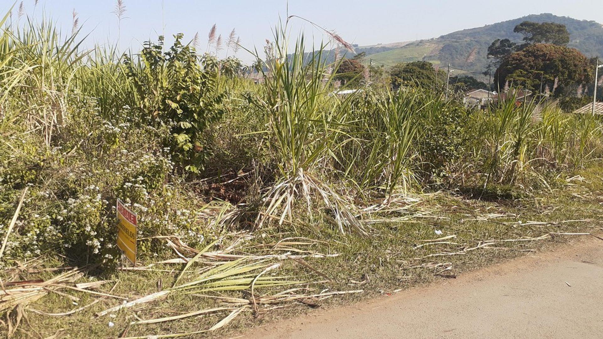 Vacant land / plot for sale in Lower Illovo P24111472238