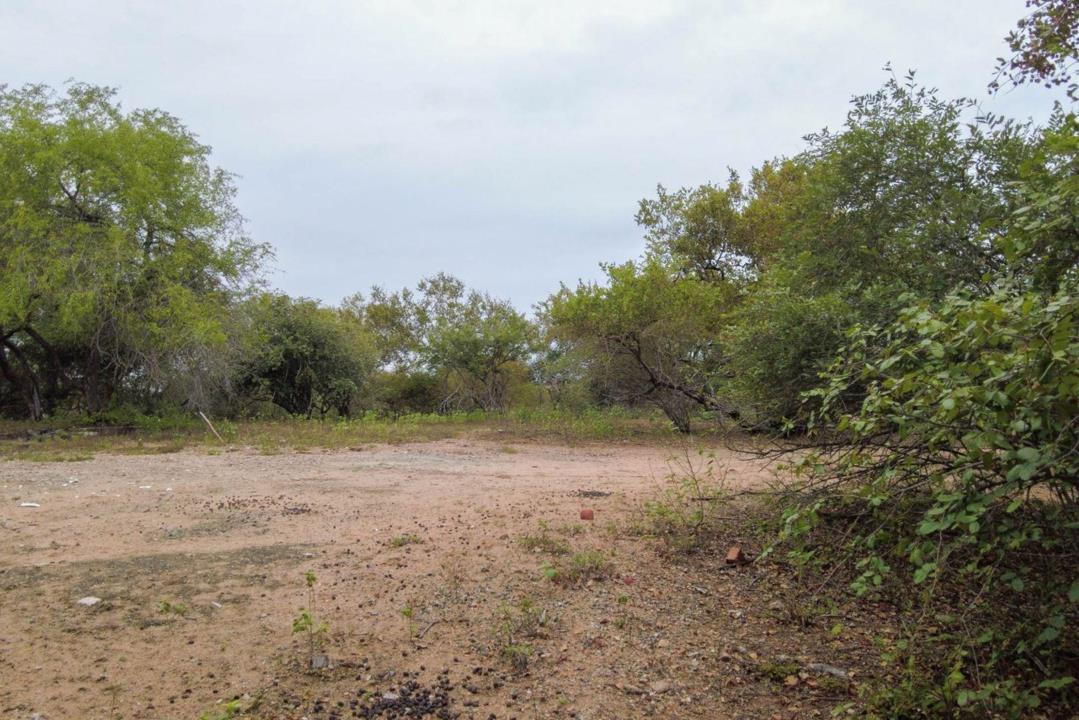 Vacant land / plot for sale in Marloth Park P24114323137