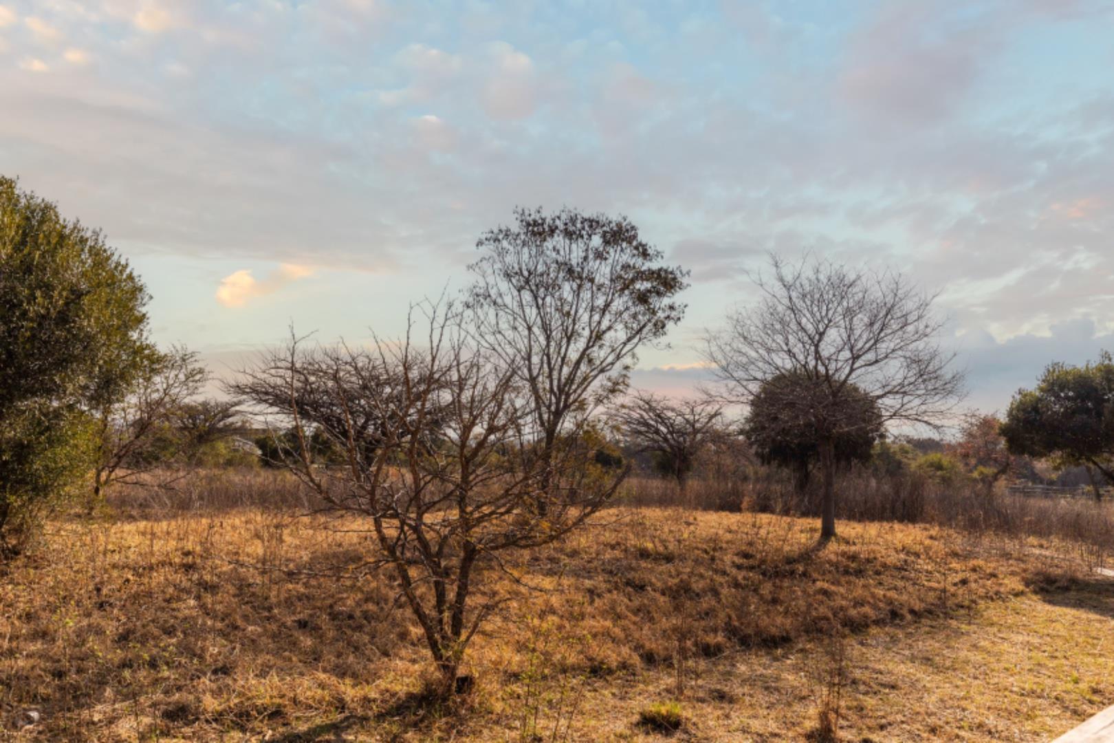 Vacant land / plot for sale in Waterfall Equestrian Estate P24114326657