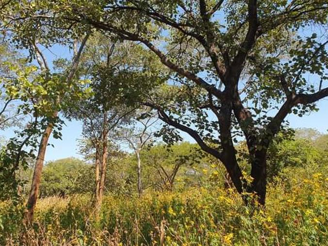 Vacant Land / Plot for Sale in Leopards Hill