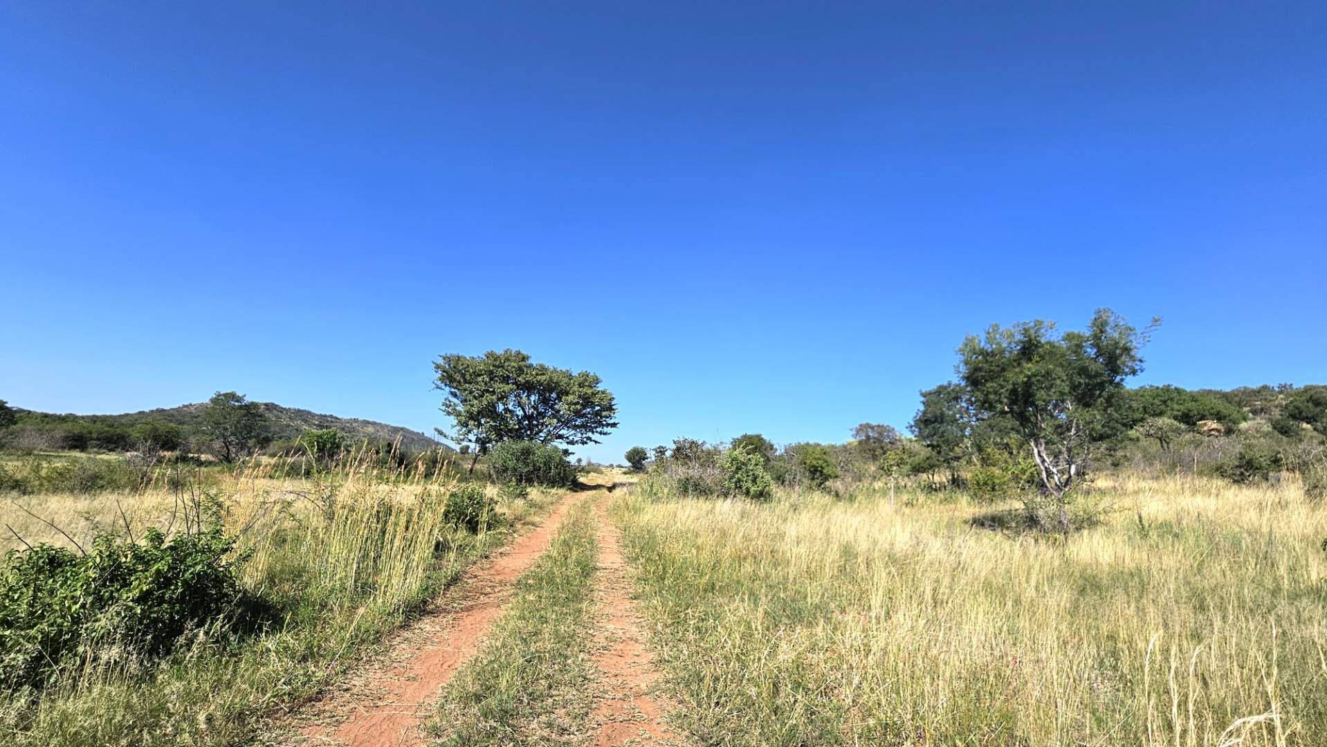 Vacant land / plot for sale in De Wildt P24113714997