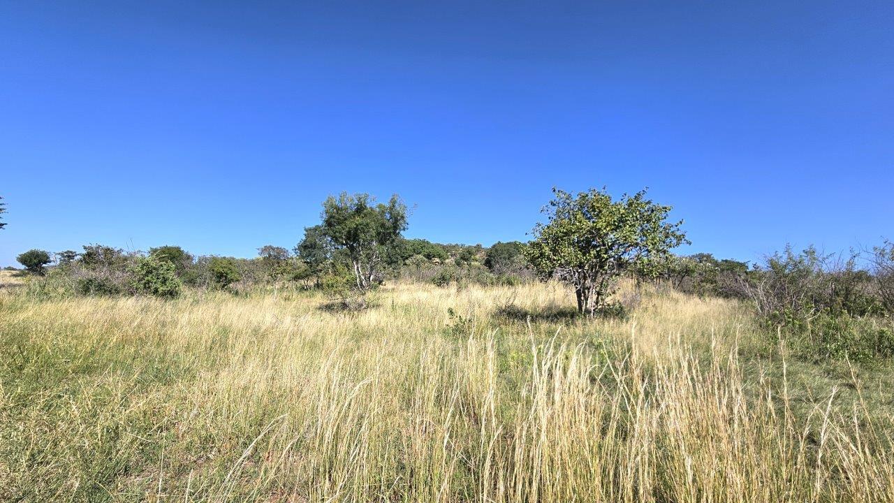 Vacant land / plot for sale in De Wildt P24114349425