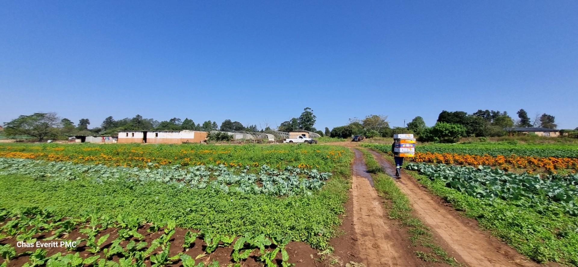 Farm for sale in Camperdown P24114354191