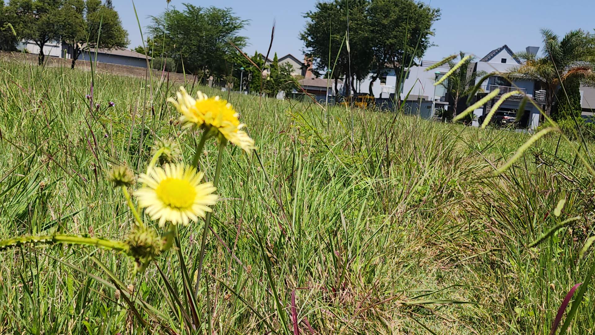 Vacant land / plot for sale in Silverwoods Country Estate Silverwood