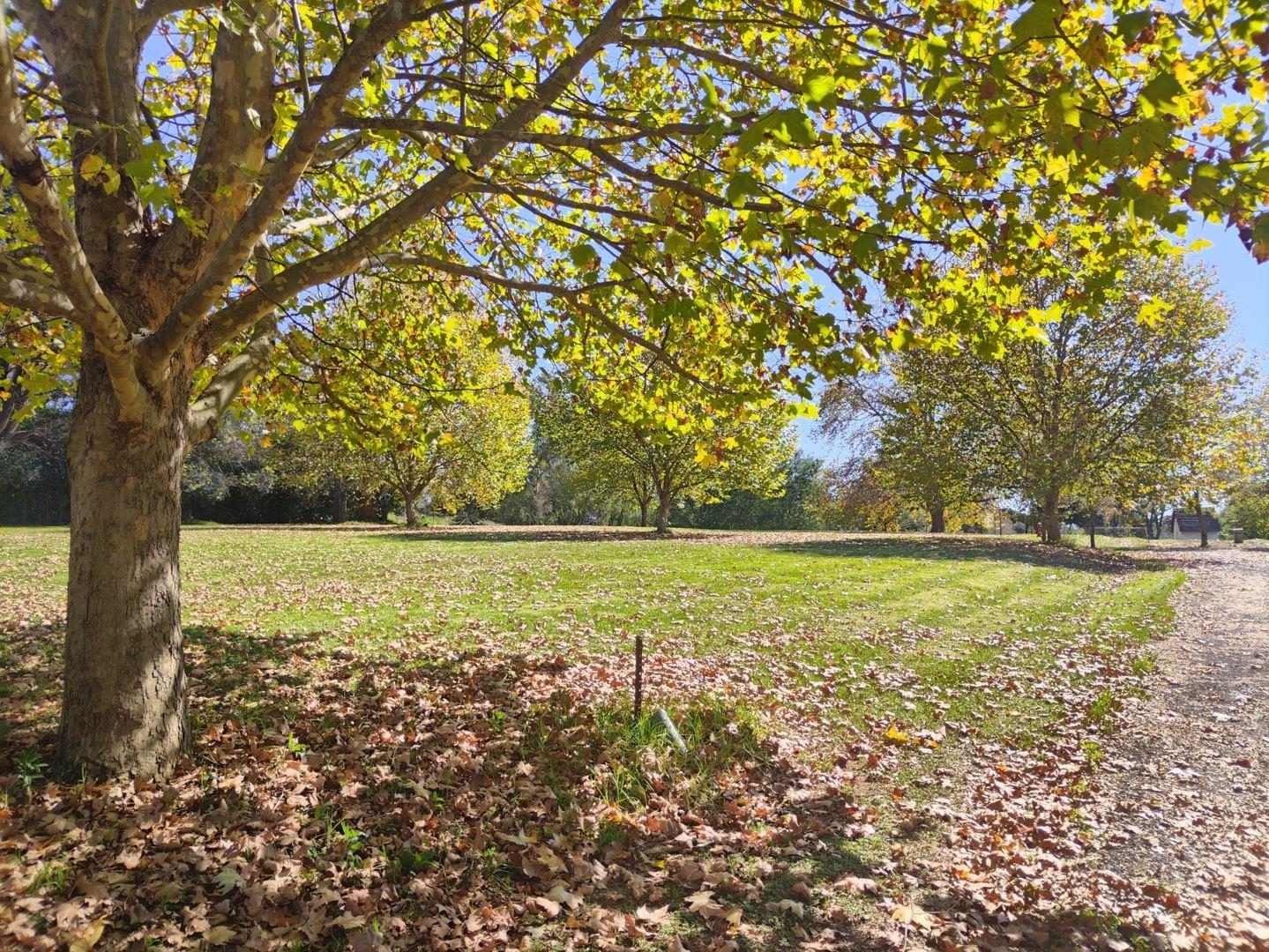 Vacant land / plot for sale in Nottingham Road P24114373486