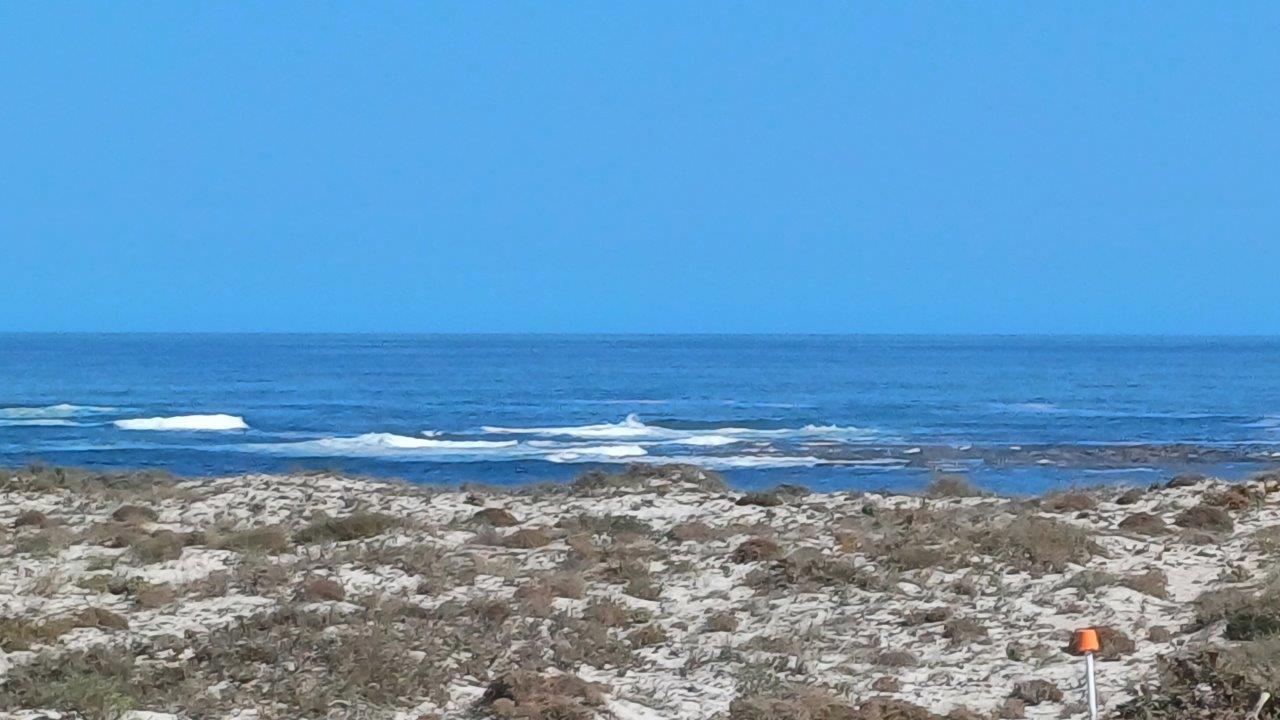 Vacant land / plot for sale in McDougall's Bay 69 Kaikai P24114375434