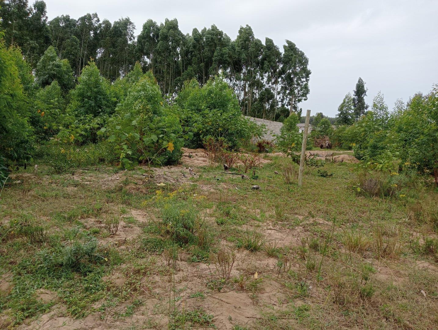 Vacant land / plot for sale in Esikhawini Rural P24114380970