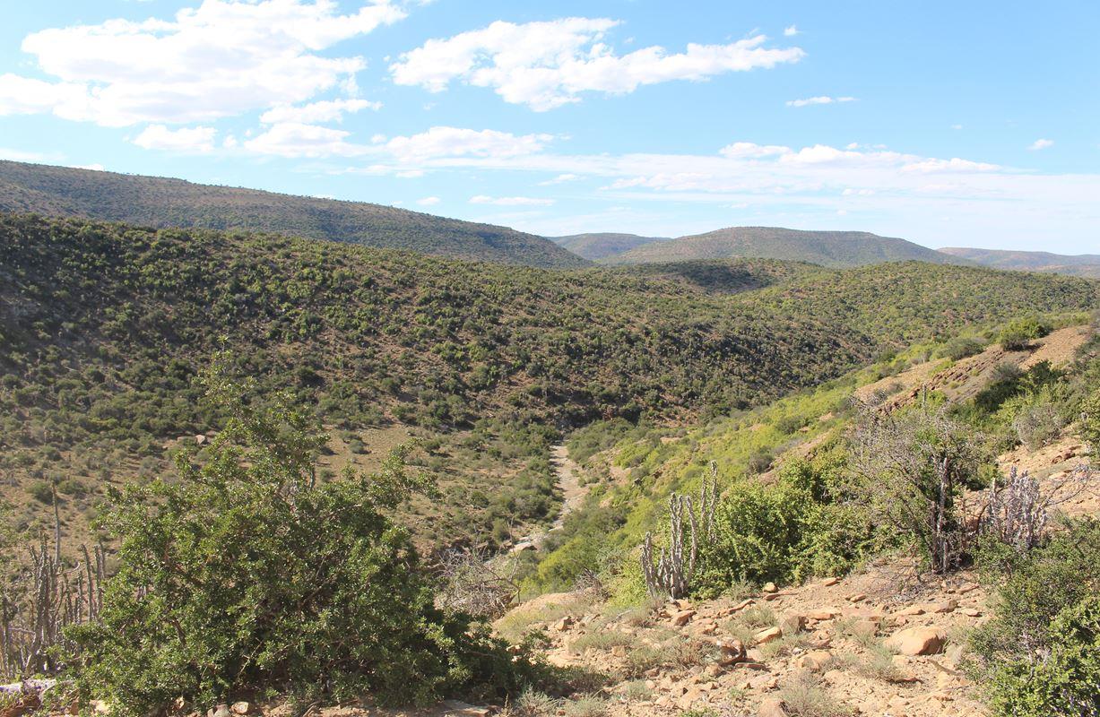 Farms for sale in Jansenville Jansenville Property