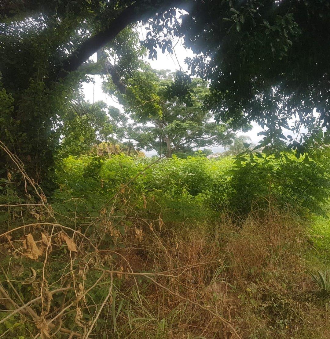 Greenwood Park Property Vacant land / plots for sale in Greenwood