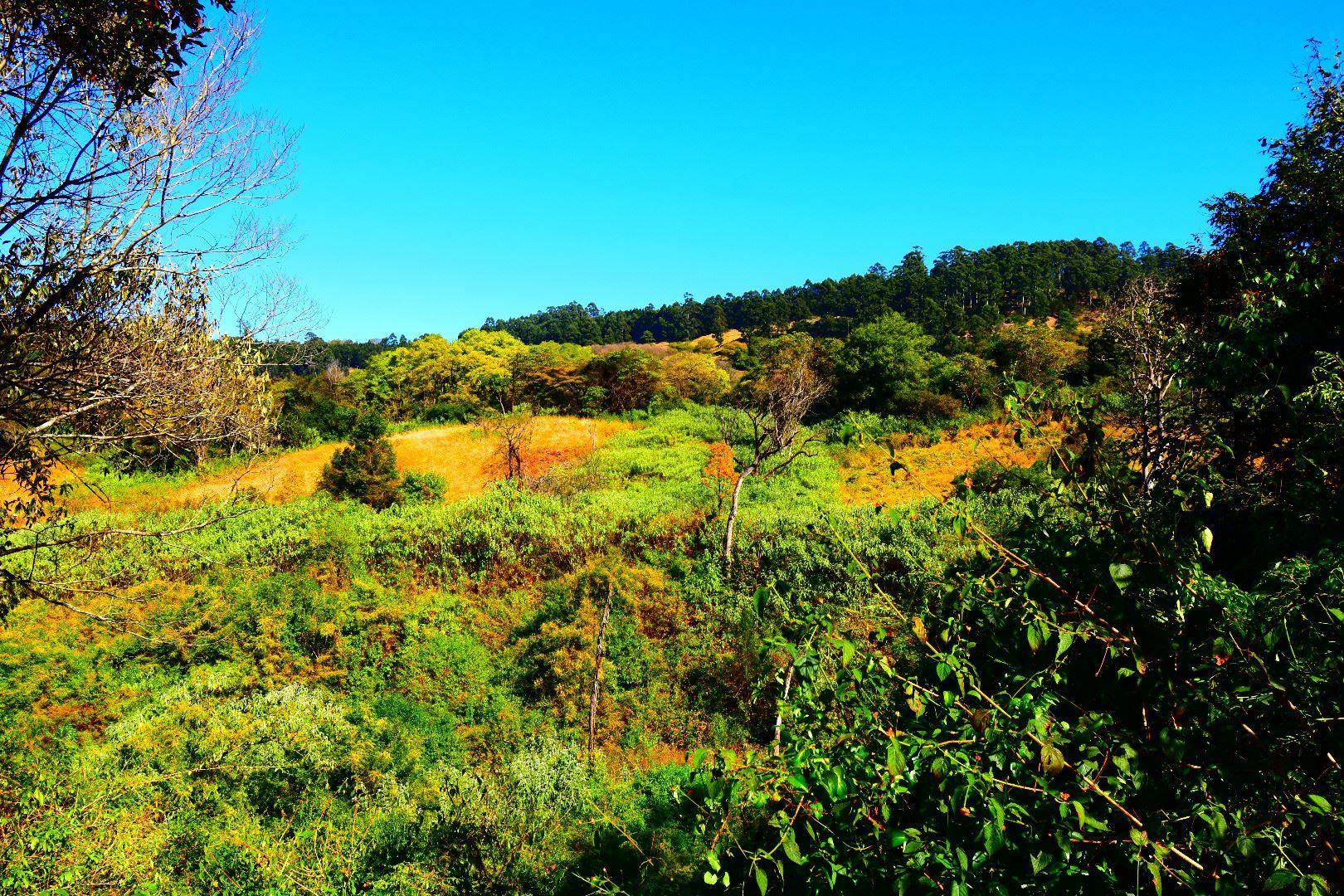 Vacant land / plot for sale in Montrose P24108861857