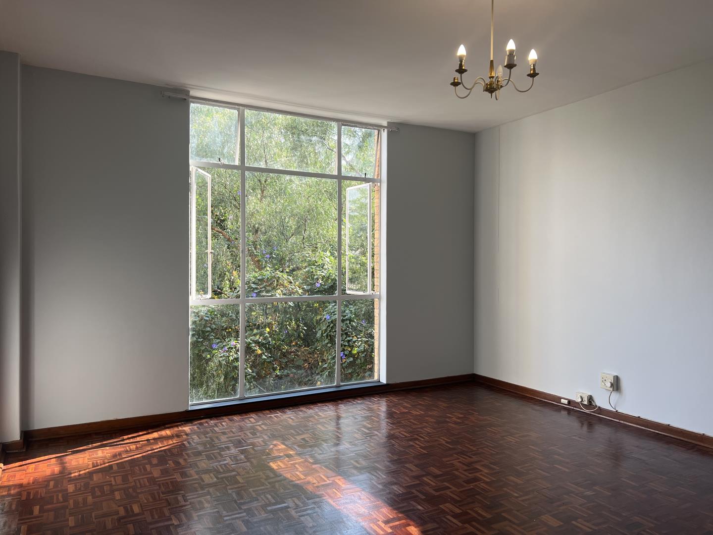 Parktown, Johannesburg Property Apartments / flats to rent in Parktown, Johannesburg