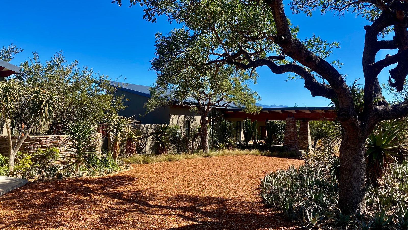 5 Bedroom House for sale in Leadwood Big Game Estate P24114419689