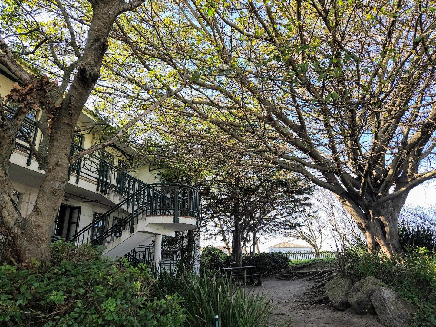 Kenilworth, Cape Town Property Property and houses to rent in