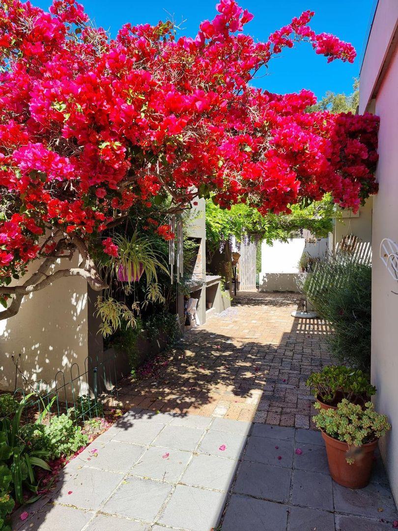 Welgelegen, Parow Property Property and houses to rent in Welgelegen