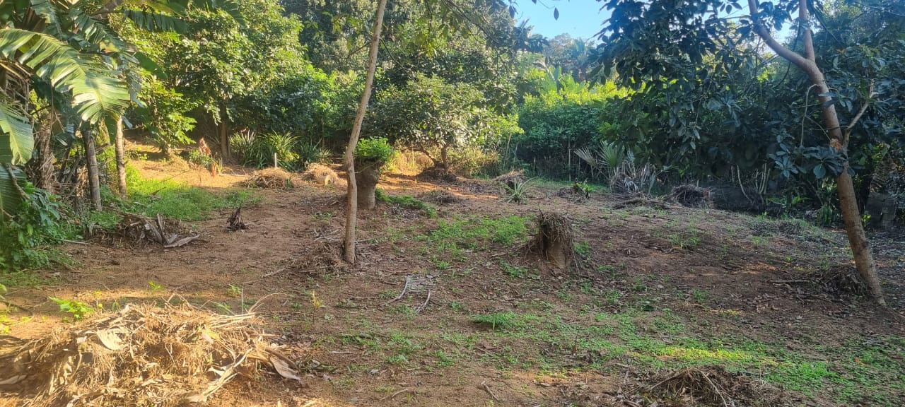 Kzn South Coast Property Vacant land / plot for sale in Kzn South Coast Page 10