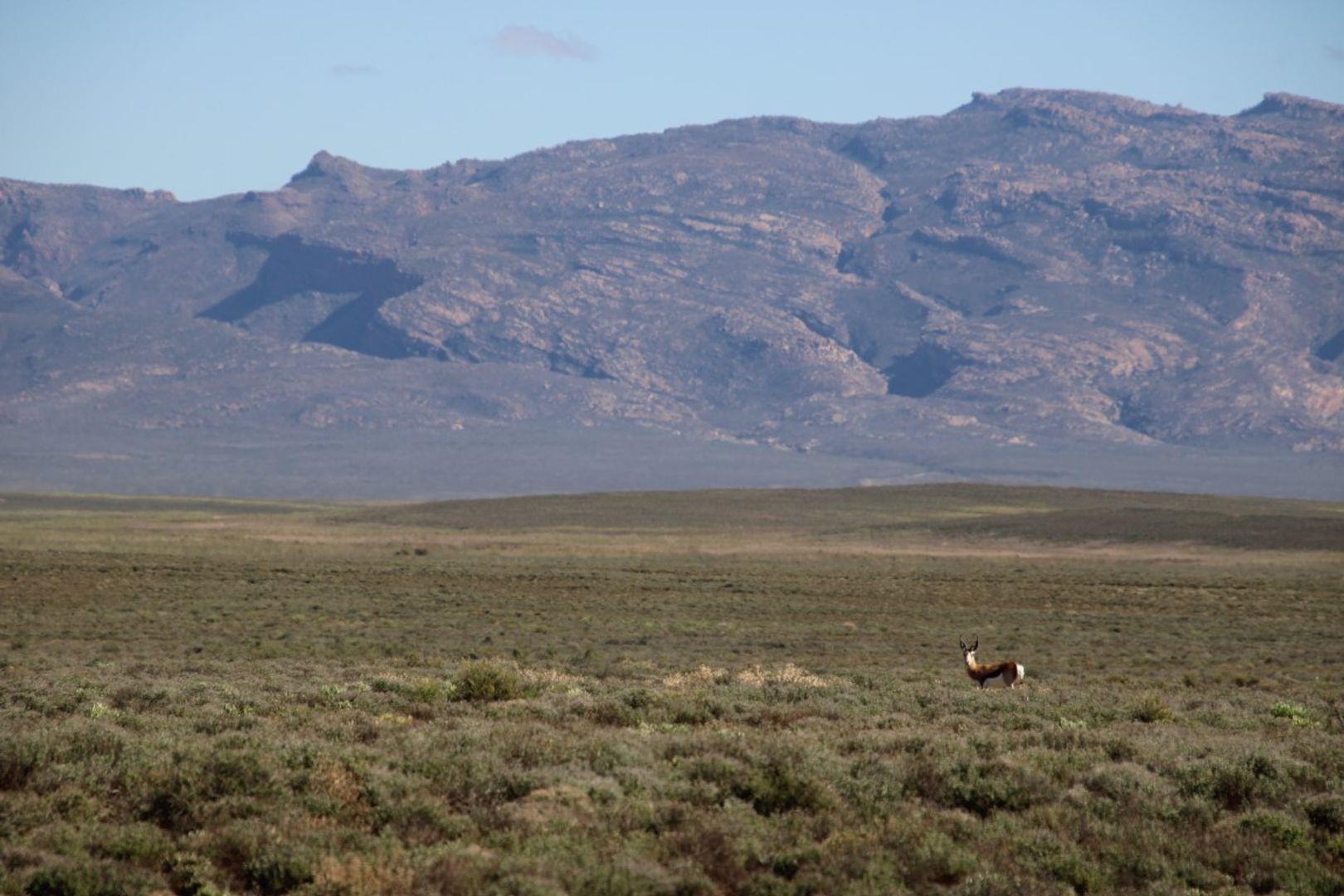 Farms for sale in Ceres Ceres Property