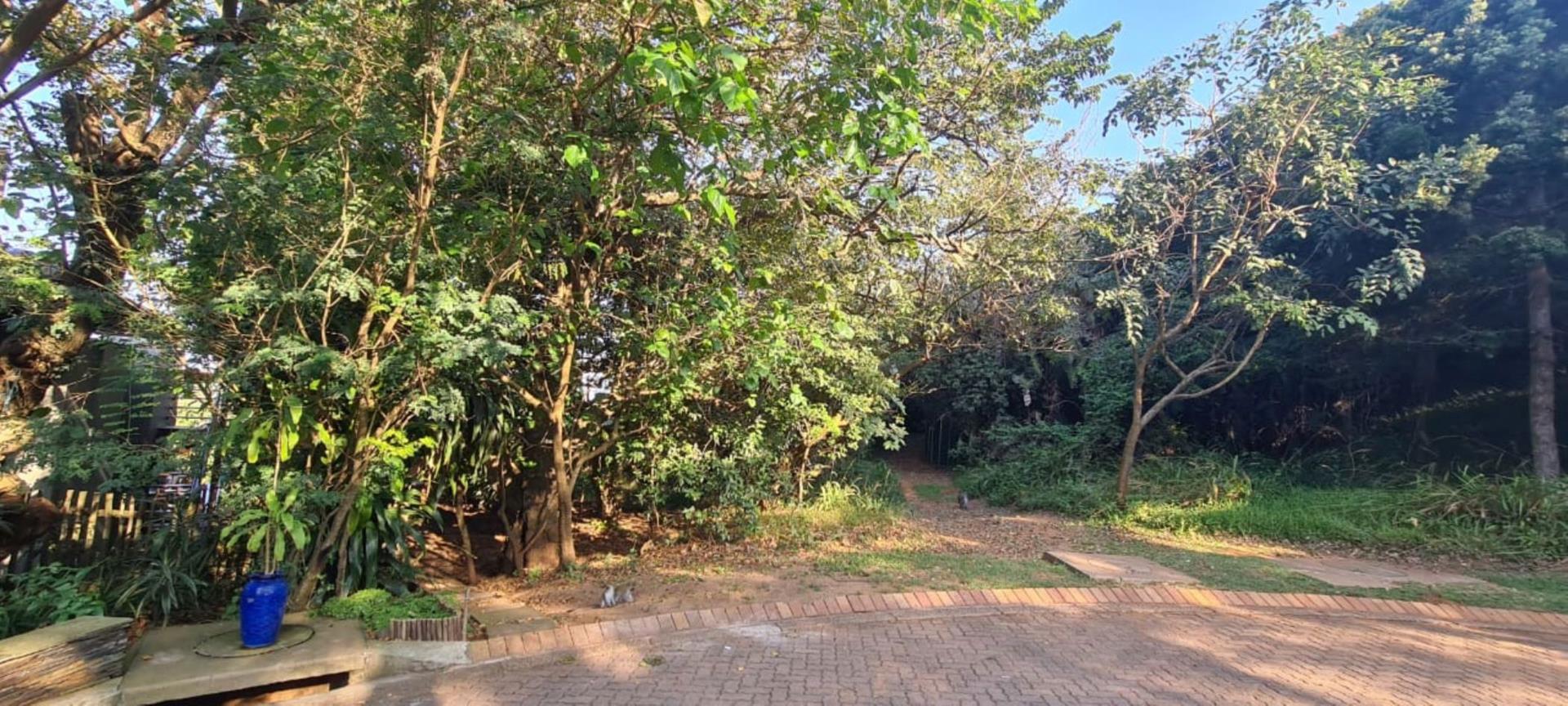 Kzn North Coast Property Vacant land / plot for sale in Kzn North Coast Page 2