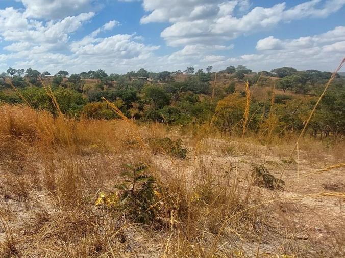 Vacant Land / Plot for Sale in Leopards Hill