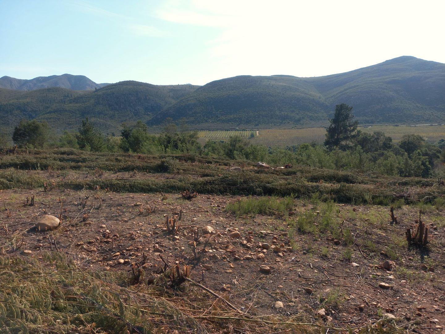 Vacant land / plot for sale in Haarlem P24114416277