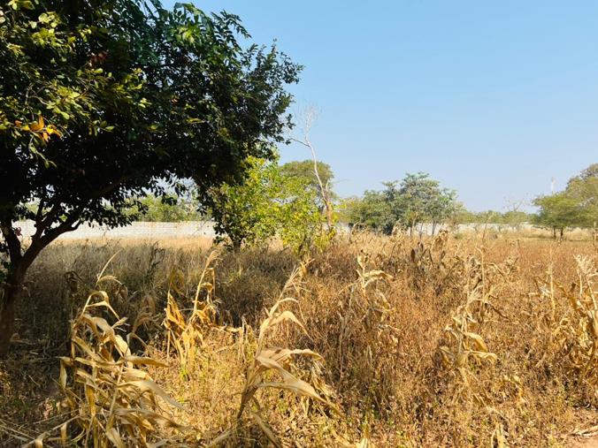 Vacant Land / Plot for Sale in Waterfalls