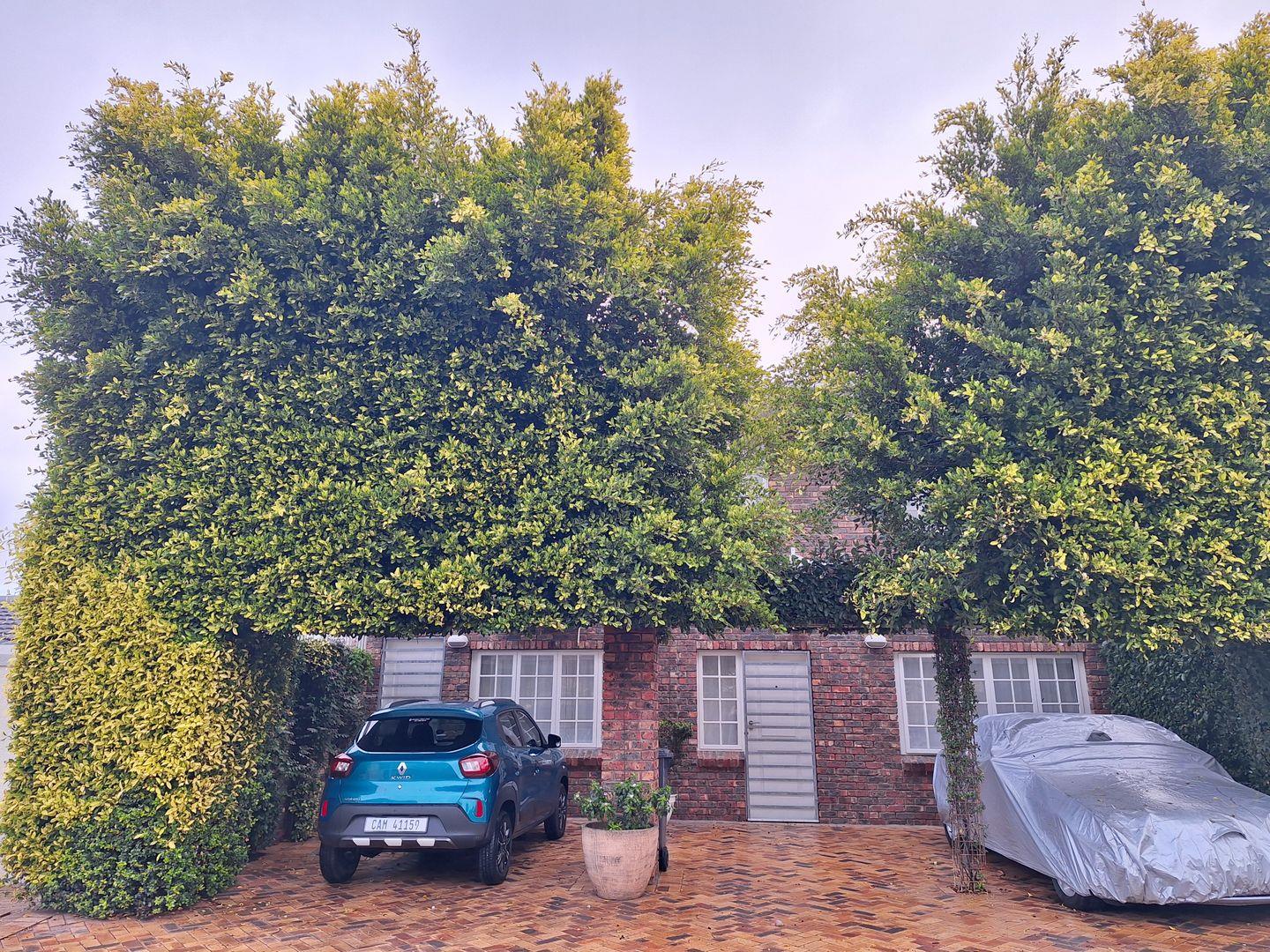 Welgelegen, Parow Property Property and houses to rent in Welgelegen