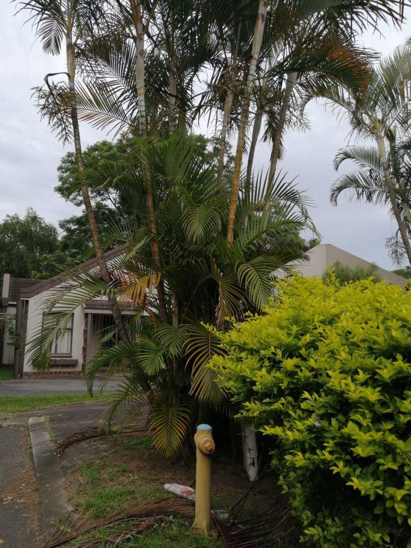 1 Bedroom House to rent in Manors P24114510076