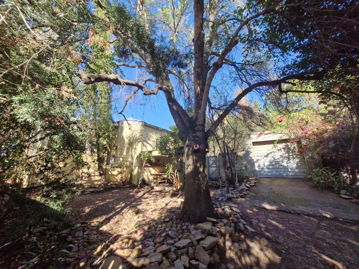 Riebeek West Property Property and houses for sale in Riebeek West