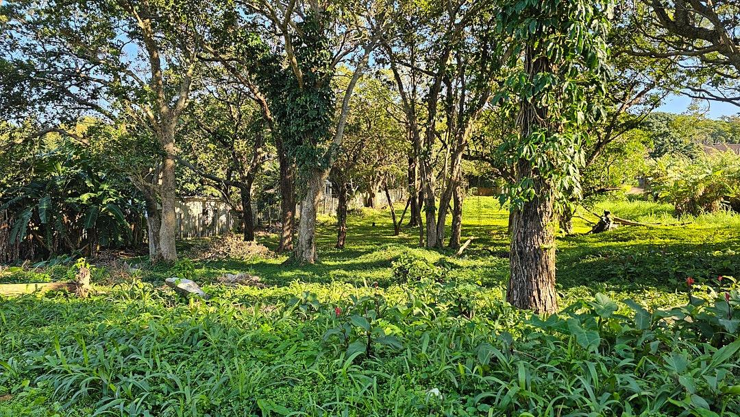 Vacant land / plot for sale in Margate P24114525951