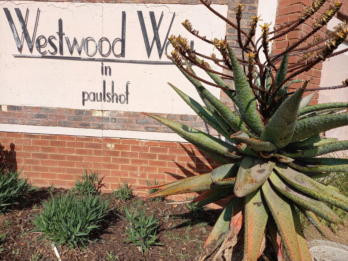 Paulshof Property Property and houses to rent in Paulshof