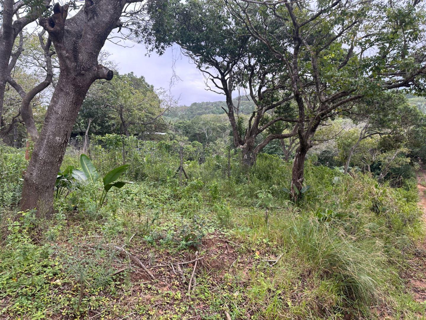 Kzn South Coast Property Vacant land / plot for sale in Kzn South