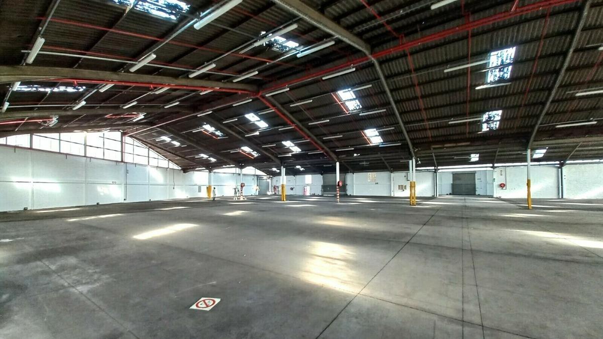 Jacobs Property Property and houses to rent in Jacobs