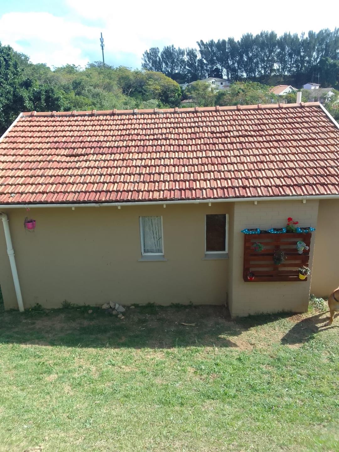 Hillary Property Property and houses for sale in Hillary