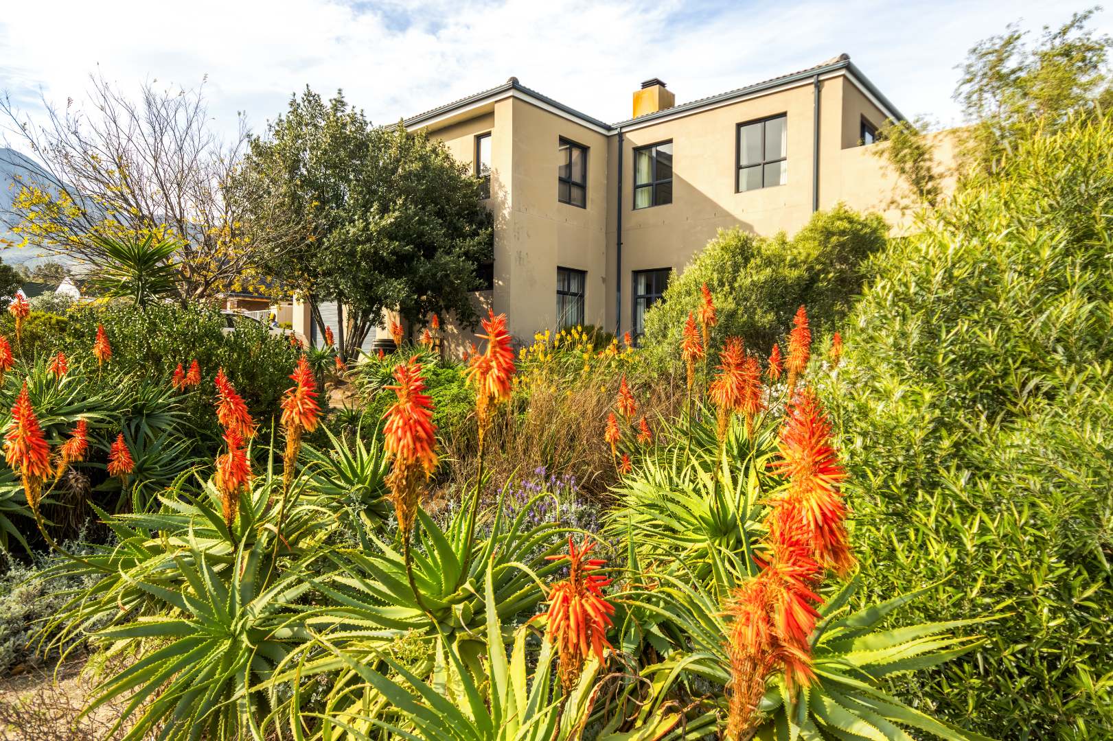 Tre Donne Estate Property Property and houses to rent in Tre Donne