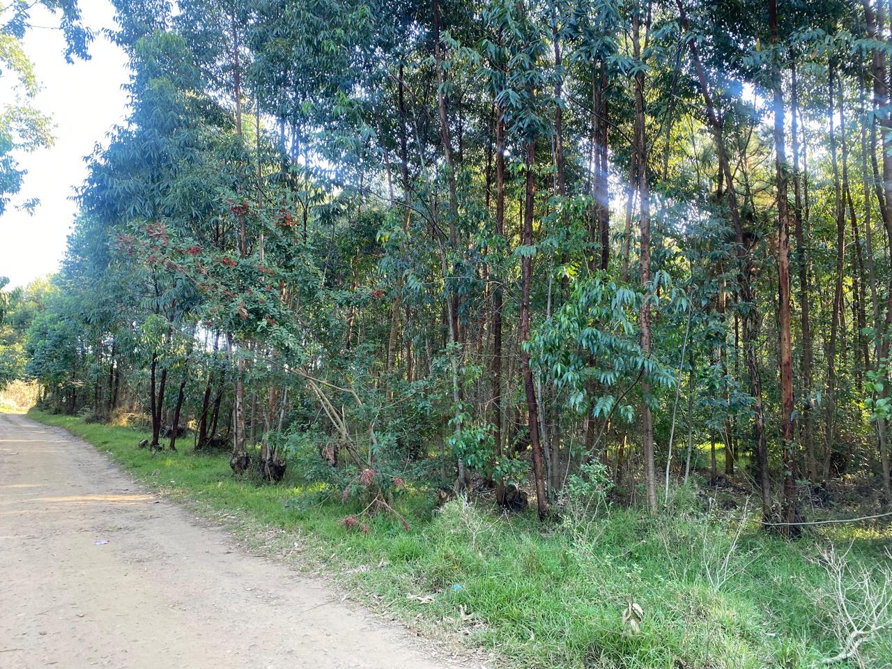 Vacant land / plot for sale in Esikhawini P24114561618