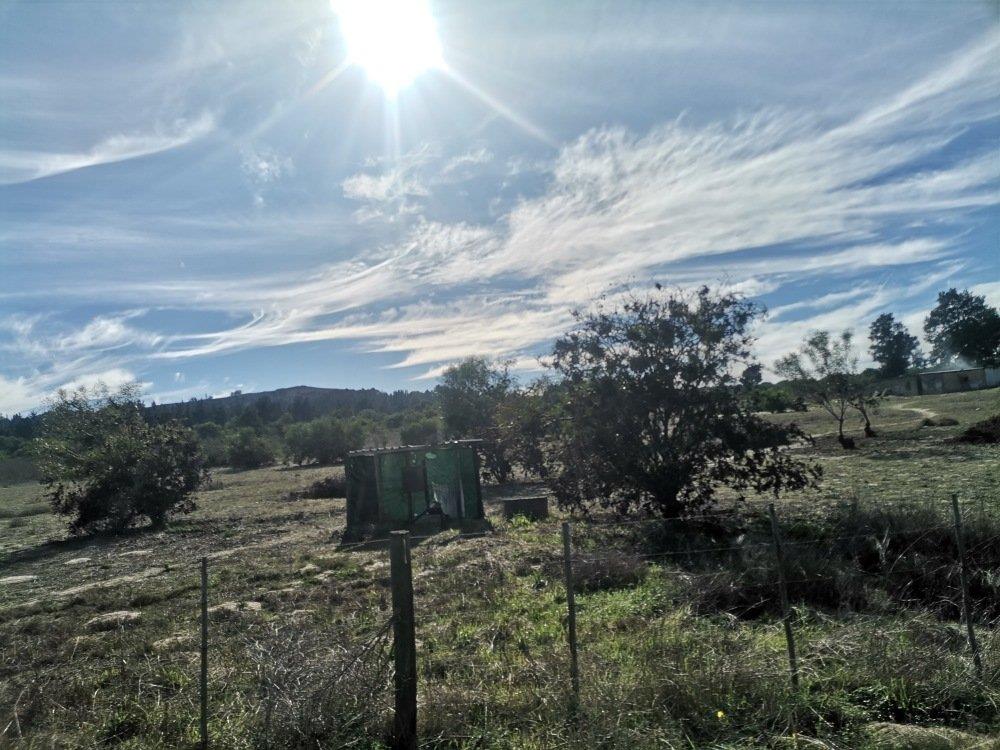 Farm for sale in Klein Dassenberg P24114537720