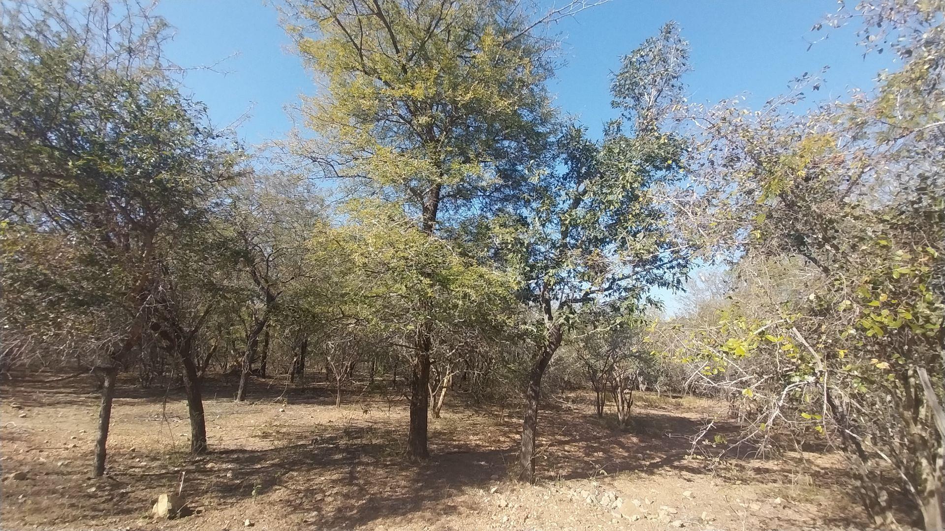 Vacant land / plot for sale in Marloth Park P24114564680