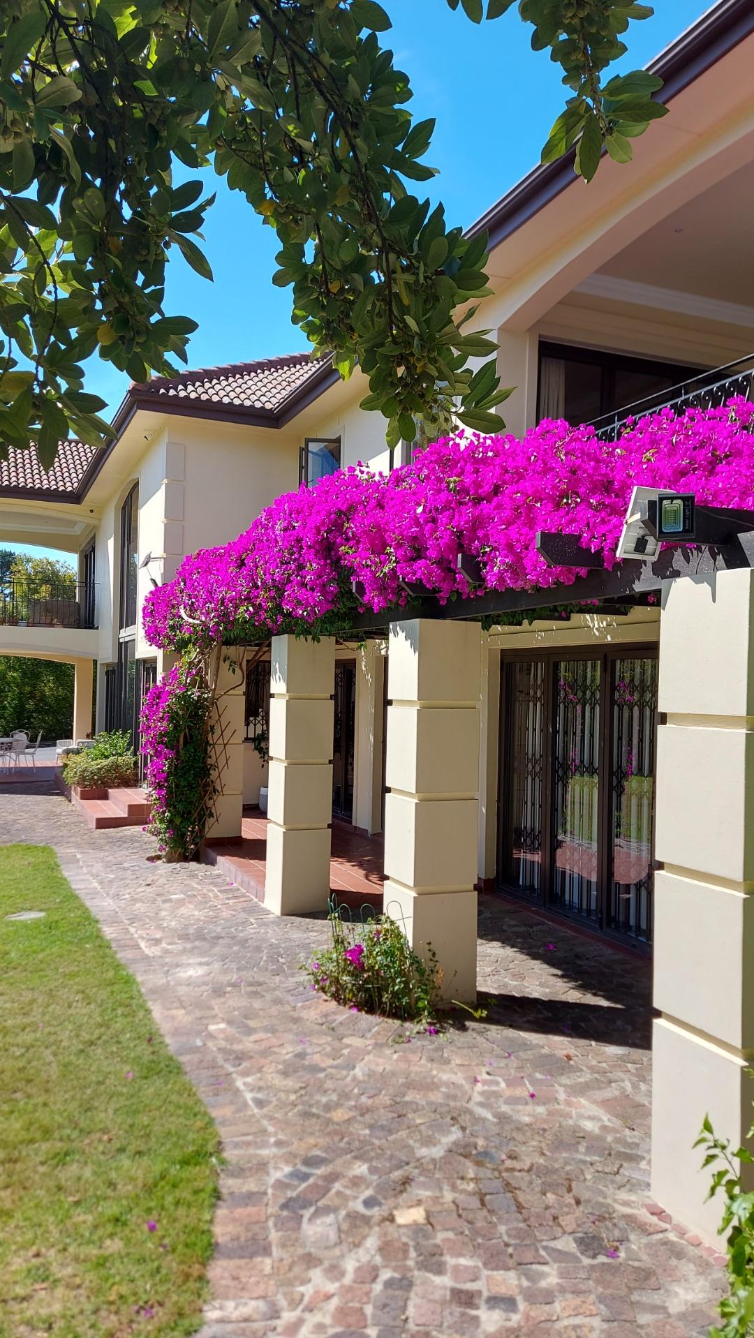 1 Bedroom Apartment / flat to rent in Helena Heights 12 Mayfair